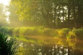 De Palingbeek