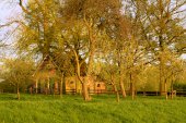 Boomgaard en boerderijtje