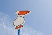 Strandbord van een pelikaan