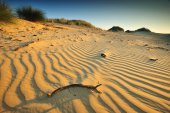 Natuurreservaat De Westhoek