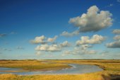 Het Zwin