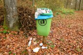 Vuilbak in het bos