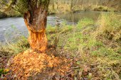 Vallei van de Ourthe