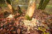 Vallei van de Ourthe