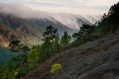 Caldera de Taburiente Nationaal Park