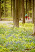 Wandelen in de lente