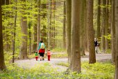 Wandelen in de lente