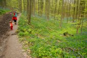 Wandelen in de lente