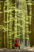 Wandelen in de lente