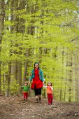 Wandelen in de lente