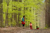 Wandelen in de lente