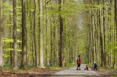 Wandelen in de lente
