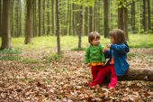Spelen in het bos