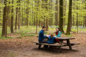 Picknick in het bos