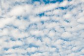Schapenwolkjes (cirrocumulus)