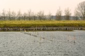 Visserij met staand wand