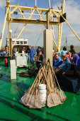 Toeristen op een Waddenzee-excursie
