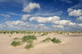 Wolkjes boven jonge duinen