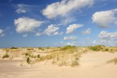 Wolkjes boven jonge duinen