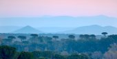 Zonsopgang in de Provence