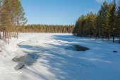 Sporen van otter aan winterse rivier