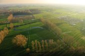 Chartreuzemeersen