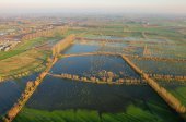 Assebroekse meersen