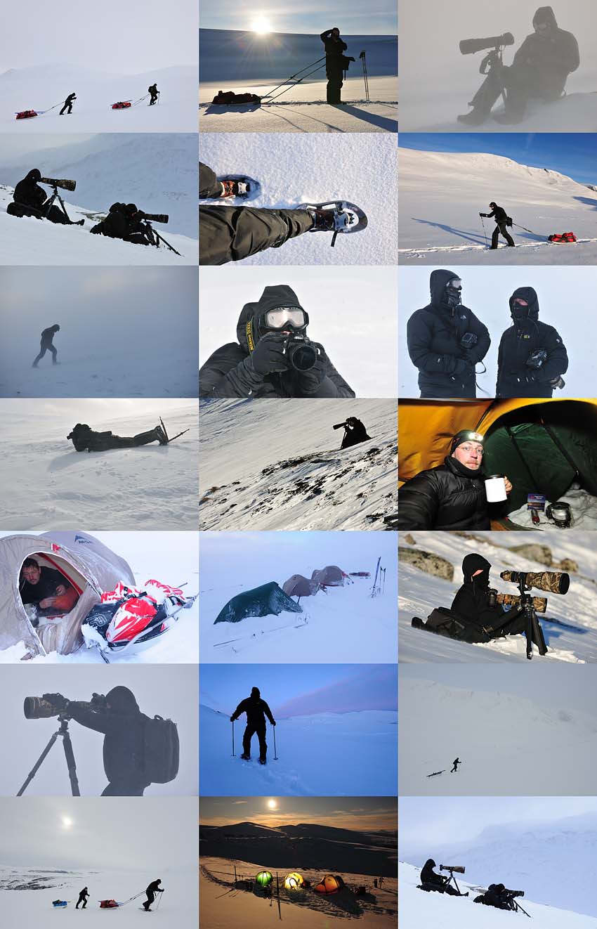 ben cranke tom linster yves adams dovrefjell