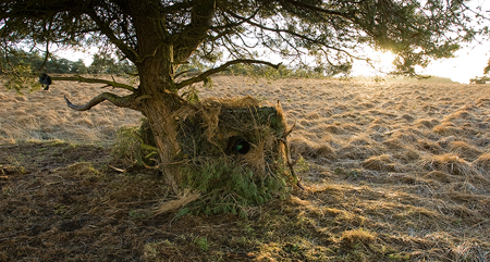 Schuilhut voor raven