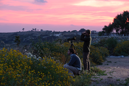 BirdLife Malta team members monitoring hunting activity