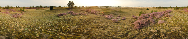 Panorama Kootwijkerzand