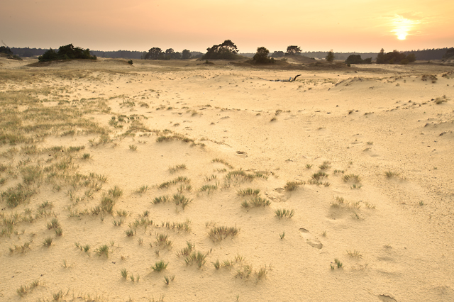 Kootwijkerzand