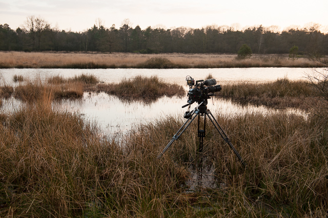 Filmen aan het Kootwijkerveen