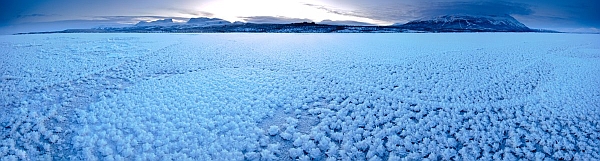 IJsroosjes op Torneträsk