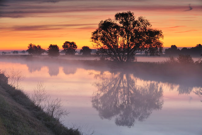 Benevelde Ijzer Benevelde Ijzer