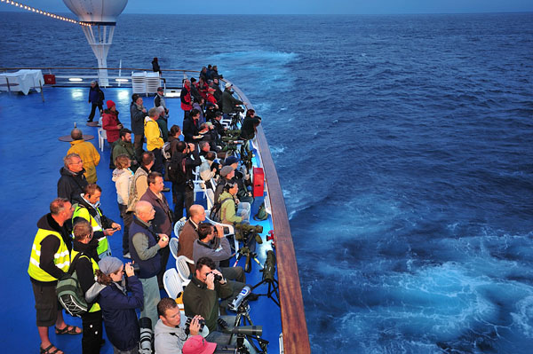Seawatching in de Golf van Biskaje