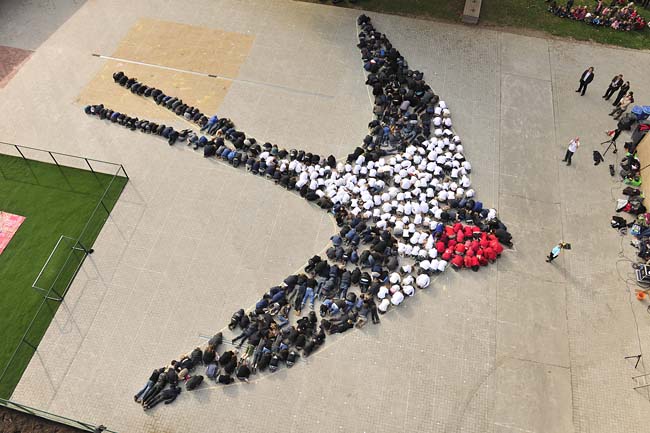 Boerenzwaluw Edugo Slotendries Oostakker